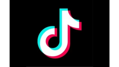 Delete 'Chinese spyware' TikTok now: Anonymous hacker group