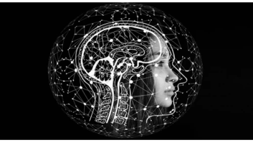 Realists enjoy more long-term happiness than optimists: Study