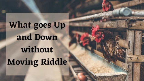 What goes Up and Down without Moving Riddle: Explanation And Answer of What goes Up and Down without Moving Riddle