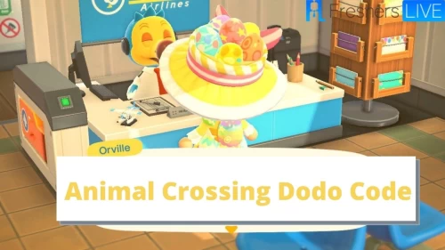 Animal Crossing Dodo Code: Where to Find Your Dodo Code? Check Dodo Code Animal Crossing, Acnh Dodo Codes Details Here