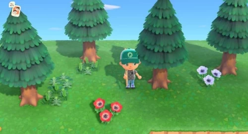 Animal Crossing New Horizons: How To Get Acorns and Pinecones In Animal Crossing? What Do You Do With Acorns In Animal Crossing?