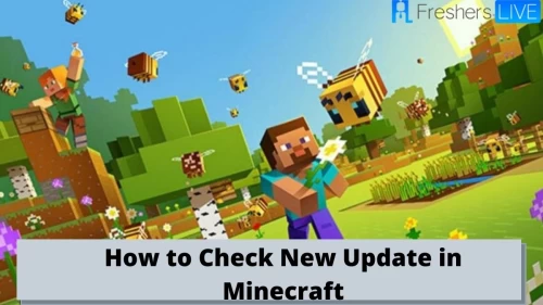 Minecraft Latest Update 2020: How to Check New Update in Minecraft and When is the Next Minecraft Update 2020 Here