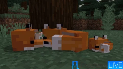 How To Get A Pet Fox In Minecraft - Step Wise Instruction for How To Get A Pet Fox In Minecraft?