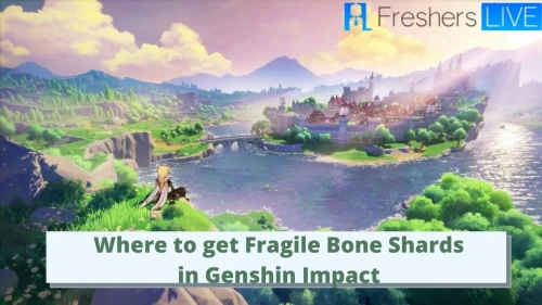 Where to get Fragile Bone Shards in Genshin Impact: Get Genshin Impact Fragile Bone Shard, Genshin Impact Fragile Bone Shard Location Details Here