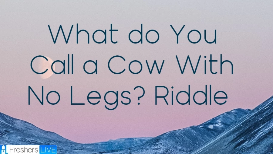 What do You Call a Cow With No Legs? Riddle - Look at this Tricky Riddle’s Answer Along With a Descriptive Explanation.