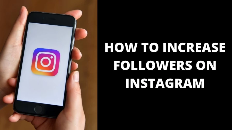 How to increase followers on Instagram: Check Tips to increase Instagram Followers