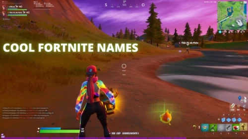 Cool Fortnite Names, Get Latest List of Cool Fortnite Names, Cool Clan Names For Fortnite, Sweaty Fortnite Names, and Check Out How To Generate Cool Fortnite Names?