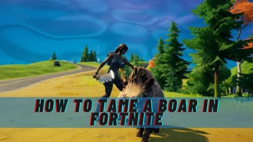 How to Tame a Boar in Fortnite 2021: A Complete Guide to Tame a Boar in Fortnite