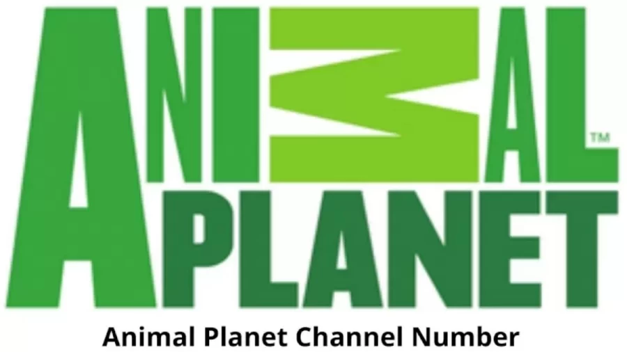 Animal Planet Channel Number In Tata Sky, Airtel Dth, Videocon D2h, Sun Direct, Gtpl, Hathway