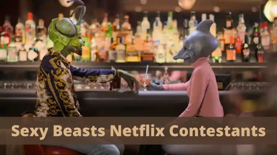 Sexy Beasts Netflix Contestants: Where Are They Now?