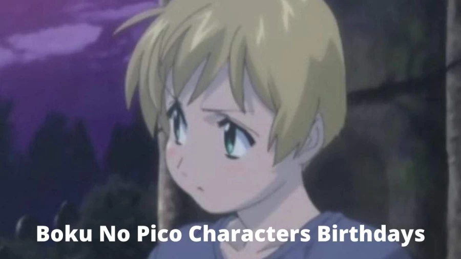 Boku No Pico Characters Birthdays: When Is The Birthdays Of Boku No Pico Characters?