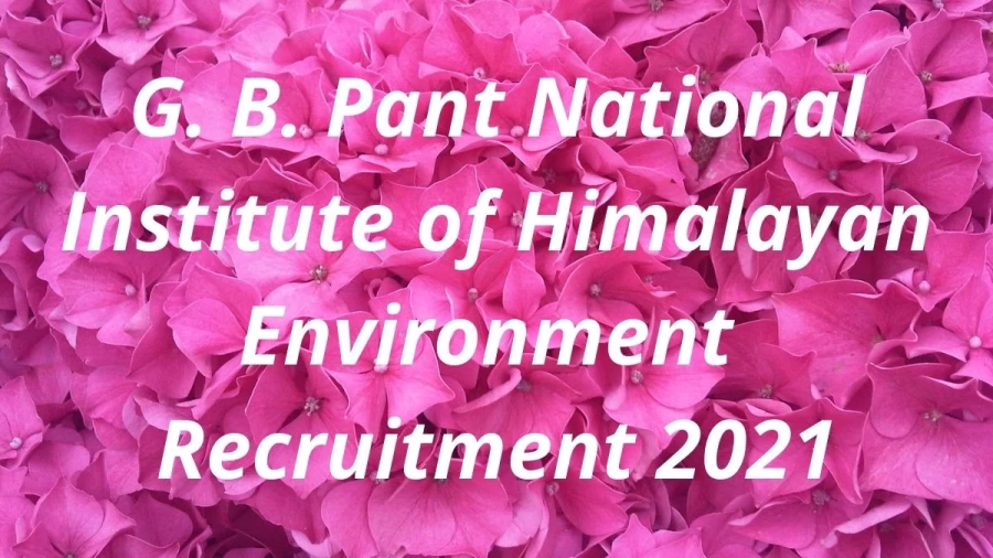 G. B. Pant National Institute of Himalayan Environment Recruitment 2021: Application form Released at gbpihed.gov.in, Know Salary, Selection, How to Apply