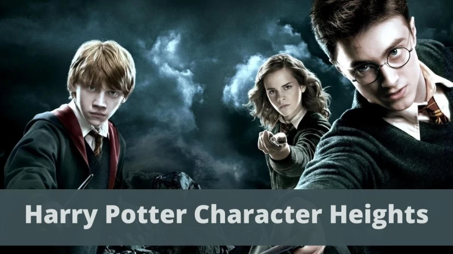 Harry Potter Character Heights: How Tall Are Harry Potter Characters?