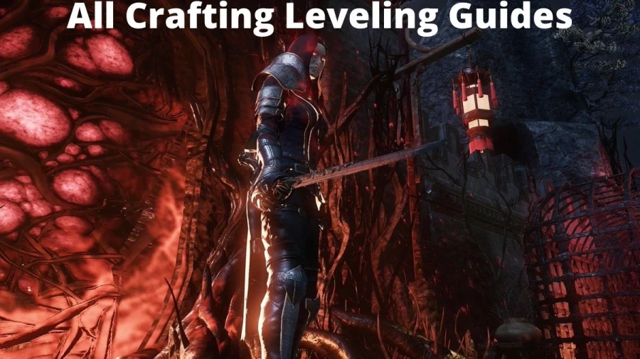 All Crafting Leveling Guides - Get To Know About New World Arcana Leveling Guide