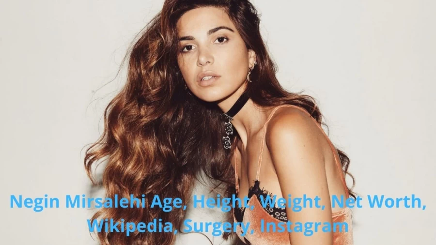 Negin Mirsalehi Age, Height, Weight, Net Worth, Wikipedia, Surgery, Instagram