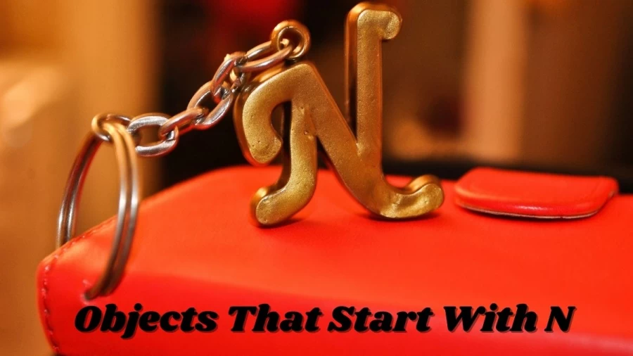 Objects That Start With N, Get The Wide Range Of Objects That Start With N