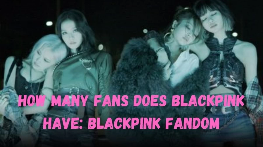 How Many Fans Does Blackpink Have? What Are Blackpink Fans Called?