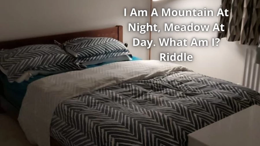 I Am A Mountain At Night, Meadow At Day. What Am I? Riddle: Check The Answer And Explanation