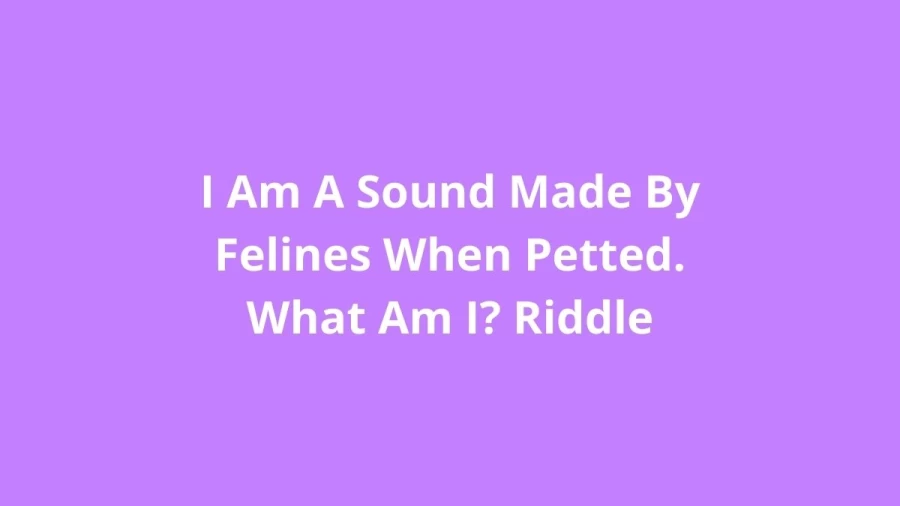 I Am A Sound Made By Felines When Petted. What Am I? Riddle: Check The Answer And Explanation