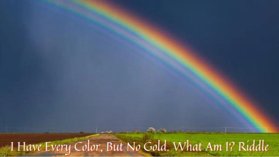 I Have Every Color, But No Gold. What Am I? Riddle, Get The Answer And Explanation For I Have Every Color, But No Gold. What Am I? Riddle