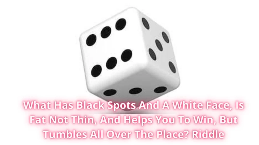 What Has Black Spots And A White Face, Is Fat Not Thin, And Helps You To Win, But Tumbles All Over The Place? Riddle: Check The Answer And Explanation