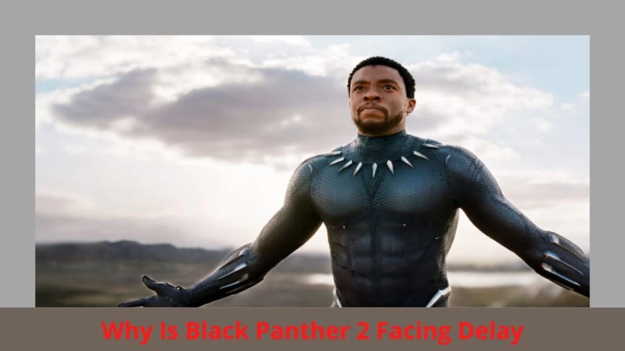 Black Panther 2 Be Delayed, Why Is Black Panther 2 Facing Delay?