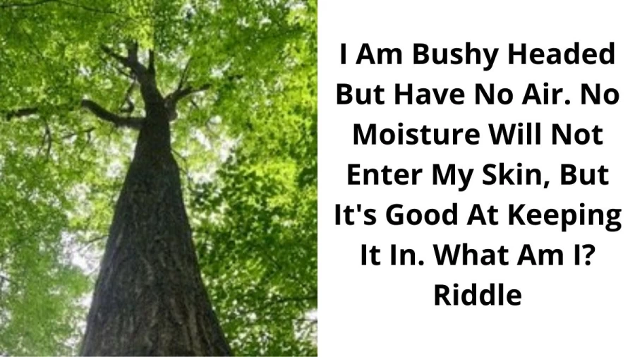 I Am Bushy Headed But Have No Air. No Moisture Will Not Enter My Skin, But Its Good At Keeping It In. What Am I? Riddle, Check The Answer And Explanation