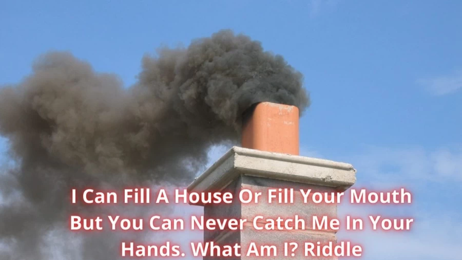 I Can Fill A House Or Fill Your Mouth But You Can Never Catch Me In Your Hands. What Am I? Riddle: Check The Answer And Explanation