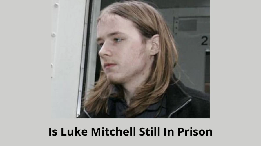 Is Luke Mitchell Still In Prison? Where Is Luke Mitchell Now?