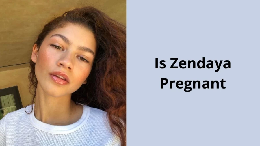 Is Zendaya Pregnant? Check The Rumors About Zendaya Pregnancy