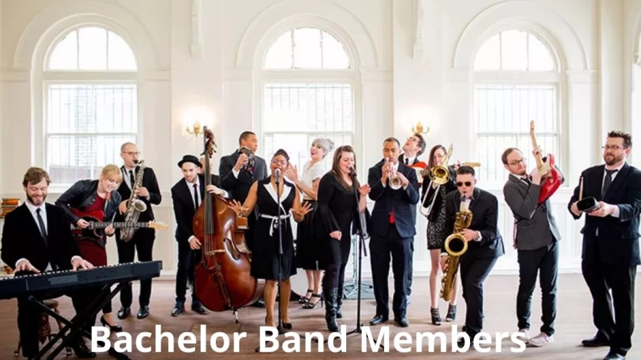 Bachelor Band Members, Height, Bachelor Members Age, Songs List