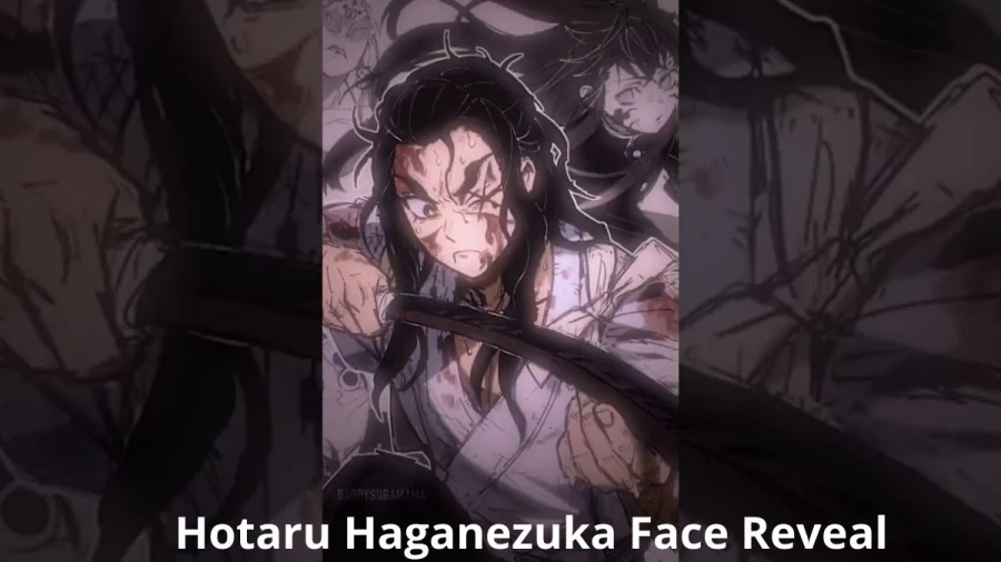 Hotaru Haganezuka Face Reveal, Does Hotaru Show His Face in Demon Slayer