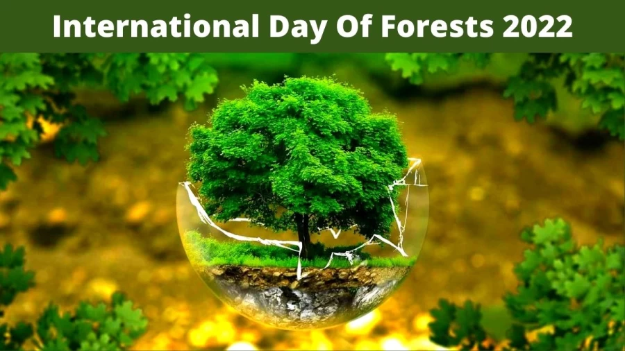 International Day Of Forests 2022, When Is International Day Of Forests 2022? History, Significance, Theme, Quotes, Activities, And Images