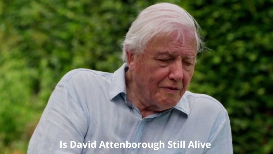 Is David Attenborough Still Alive? David Attenboroughs Age, Net Worth, Spouse, And More