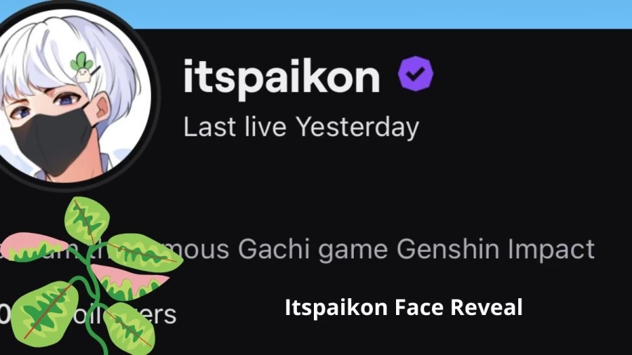 Itspaikon Face Reveal, Has Itspaikon Revealed His Face?