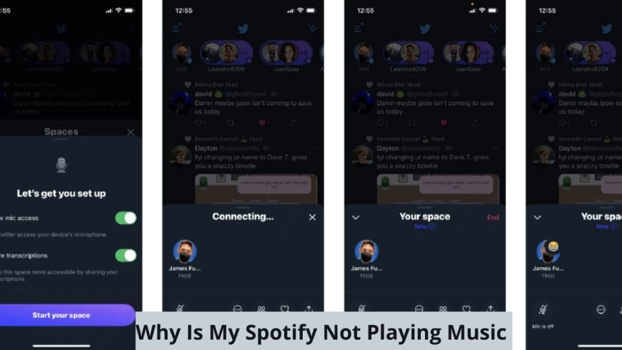 Why Is My Spotify Not Playing Music? How To Fix Spotify Not Playing Songs Issue?