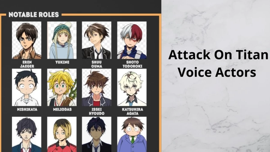 Attack On Titan Voice Actors, Who Are The Japanese And English Voice Actors In Attack On Titan?