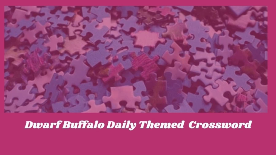 Dwarf Buffalo Crossword Clue Daily Themed Crossword