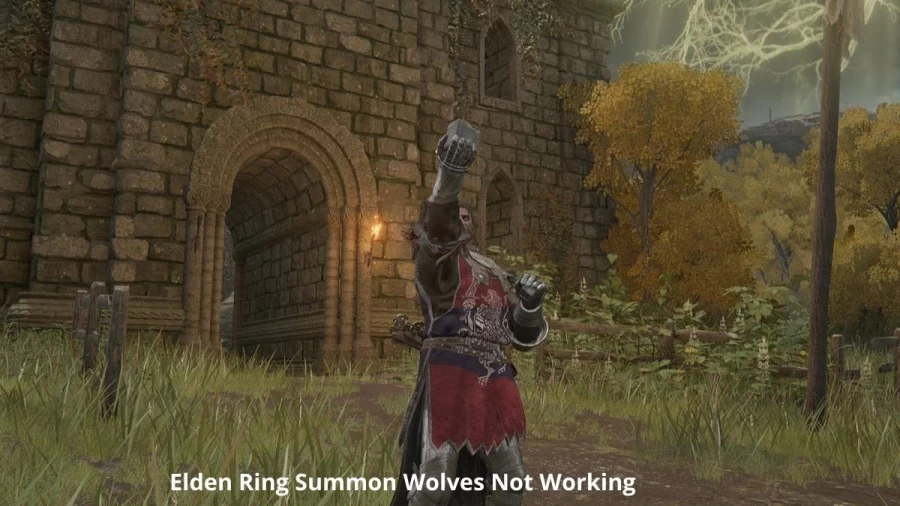 Elden Ring Summon Wolves Not Working, How To Fix Elden Ring Summon Wolves Not Working Issue?