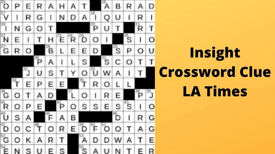 Insight Crossword Clue LA Times