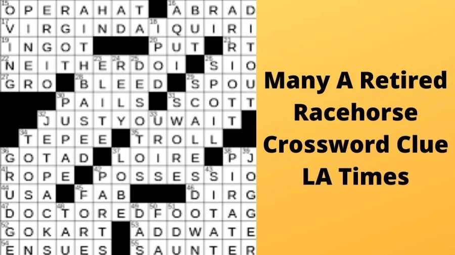 Many a retired racehorse Crossword Clue LA Times