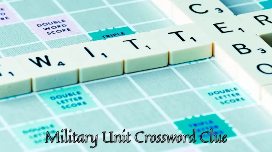 Military Unit Crossword Clue