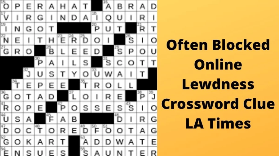 Often blocked online lewdness Crossword Clue LA Times