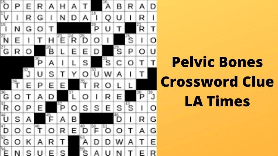 Pelvic bones Crossword Clue LA Times