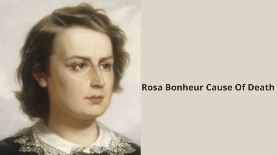 Rosa Bonheur Cause Of Death, How Did Rosa Bonheur Die?