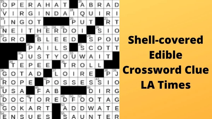 Shell-covered edible Crossword Clue LA Times