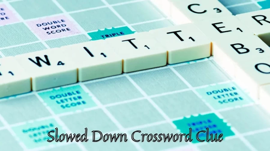 Slowed Down Crossword Clue