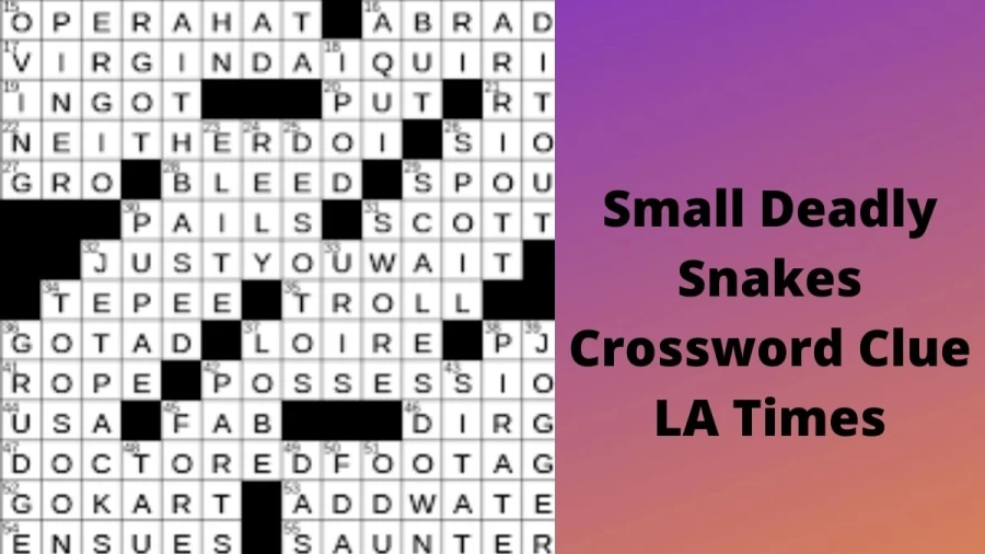 Small deadly snakes Crossword Clue LA Times