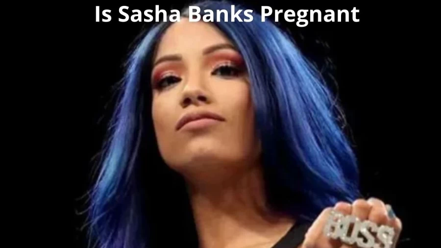 Is Sasha Banks Pregnant, Find Out If Is WWE Diva Sasha Banks Pregnant