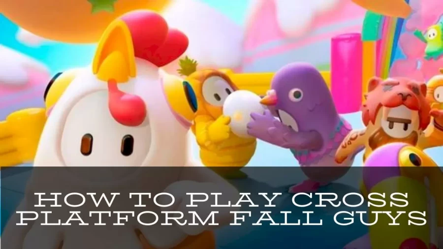 How To Play Cross Platform Fall Guys? Play Fall Guys Cross-Platform On PS4 And PC